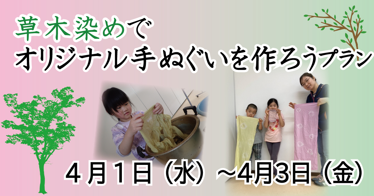 草木染めプラン