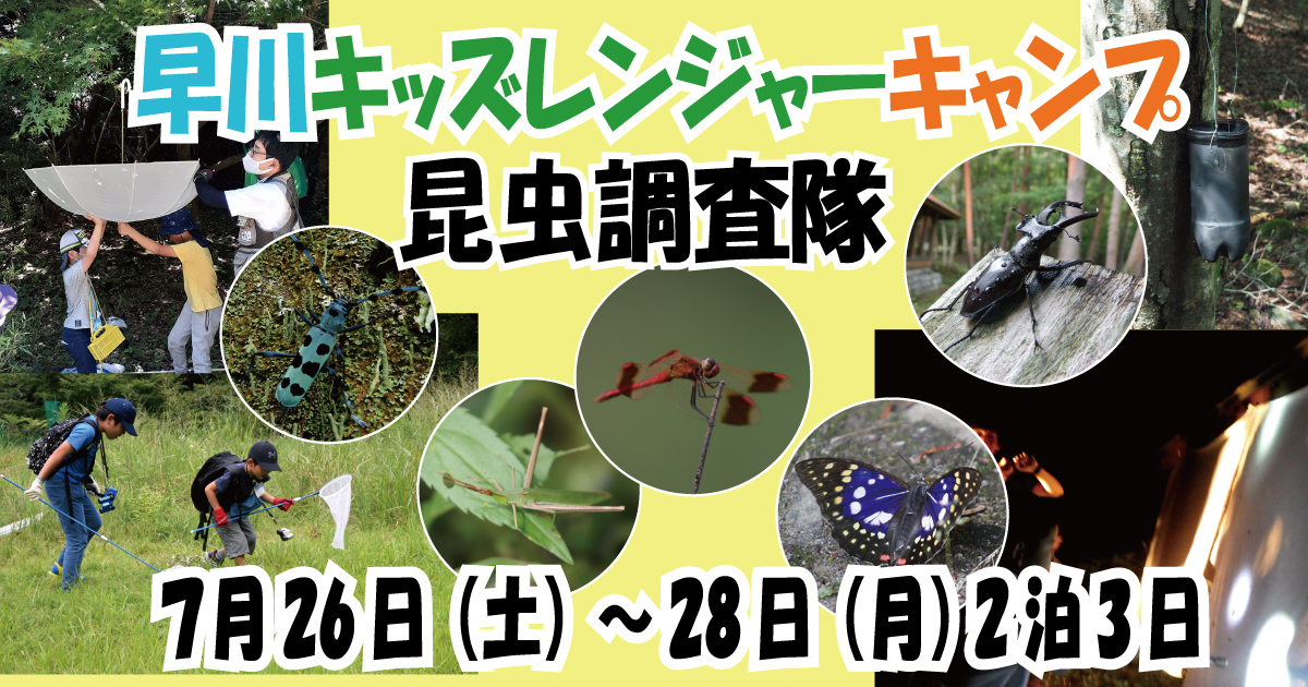 早川キッズレンジャーキャンプ